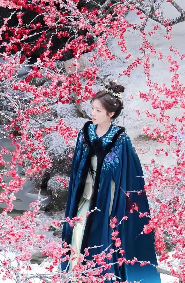  李兰迪 