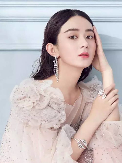  赵丽颖 